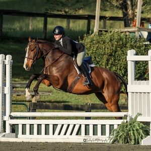 Meet your Posher, Lisa